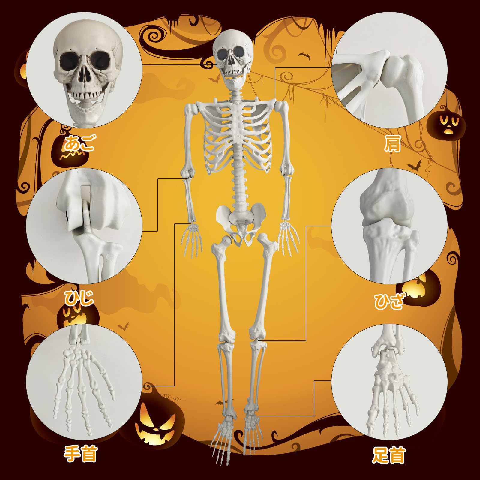 Amazon | ハロウィン 骸骨 飾り 165cm 等身大 道具 家庭用 置物